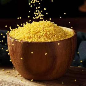 新疆和硕县 天山小米 550g*2袋