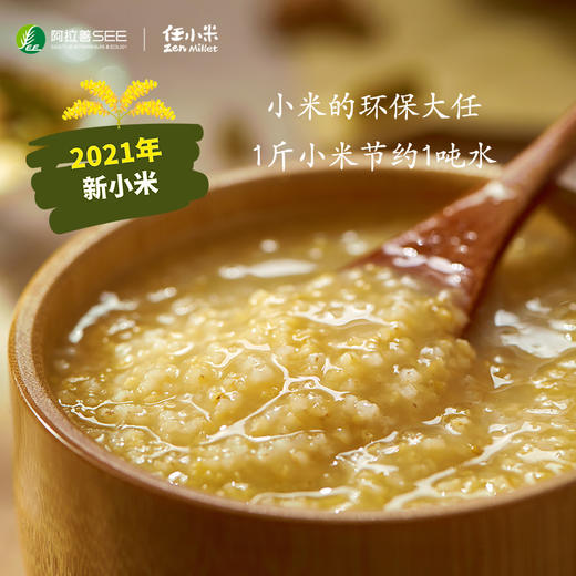 任小米5斤小米 商品图1