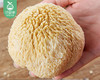 古田甄选无硫猴头菇（约250g/袋）生产日期:3月 商品缩略图2