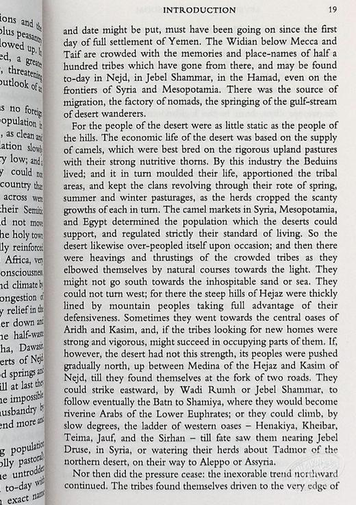 预售 【中商原版】智慧七柱英文原版小说英文版 Seven Pillars of Wisdom 商品图4