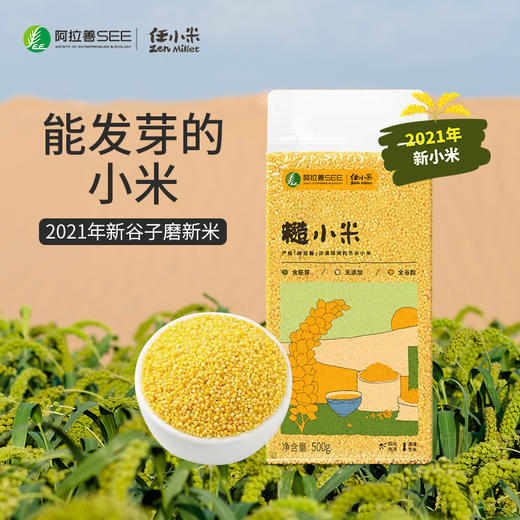 任小米 糙小米 商品图0