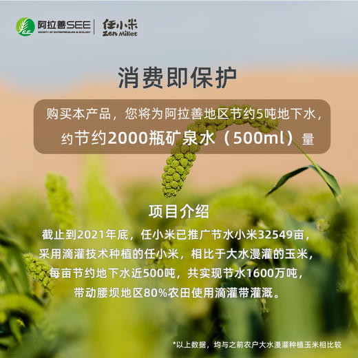 任小米 糙小米 商品图4