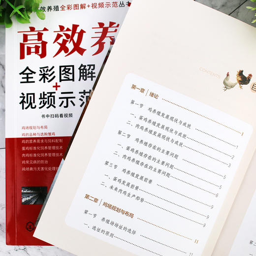 高效养鸡全彩图解+视频示范 商品图4
