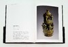 《国家馆藏珍宝：中国陶瓷大系》，精装，16开铜版彩印 商品缩略图9