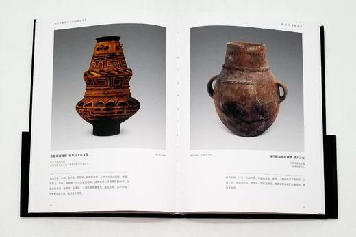 《国家馆藏珍宝：中国陶瓷大系》，精装，16开铜版彩印 商品图6