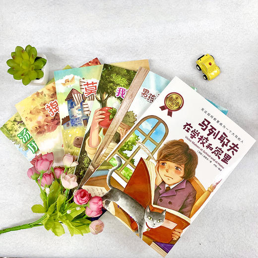世界经典男孩故事（全6册）《捣蛋鬼日记》《莫吐儿传奇》《彭罗德》《汤姆索亚历险记》《我的超级老实话》《马列耶夫在学校和家里》 商品图2