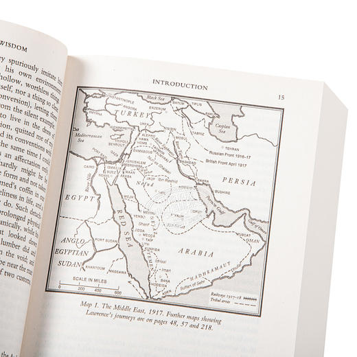 预售 【中商原版】智慧七柱英文原版小说英文版 Seven Pillars of Wisdom 商品图3