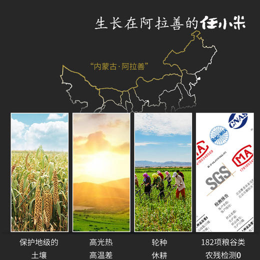 任小米5斤小米 商品图3