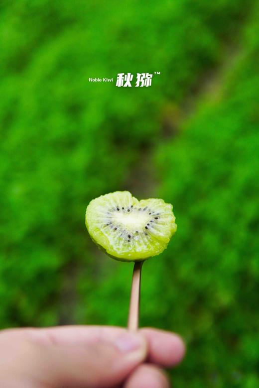 高山猕猴桃徐香 商品图1