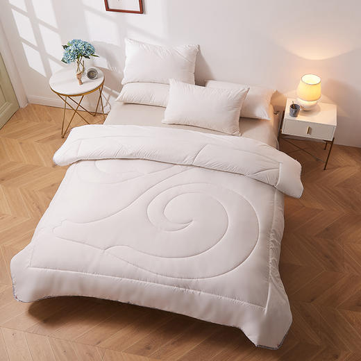 恒源祥 美馨舒适羊毛被HYX124BZ【CZ】 商品图0