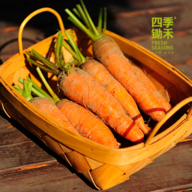 胡萝卜/老品种胡萝卜（500g）（基地胡萝卜，六零种植）