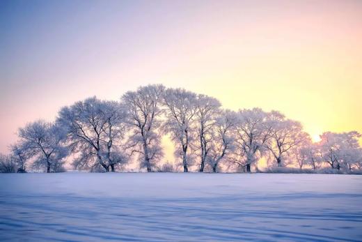 户外@舒适团【冰雪梦幻A线】梦幻雪乡-镜泊蓝冰-雾凇岛-深度7天 商品图1