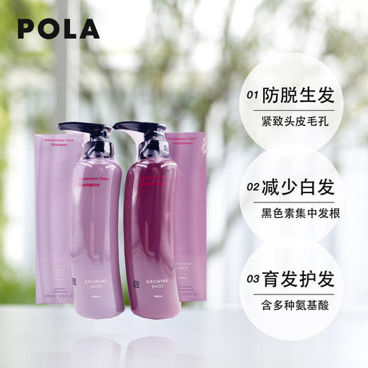 Pola宝丽 防脱育发洗护套装（洗发水370ml+护发素370ml） 商品图3