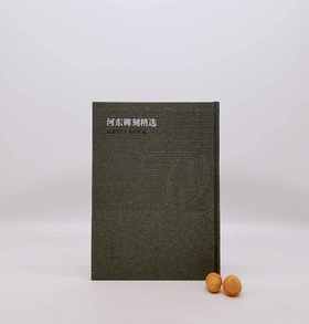 《河东碑刻精选》