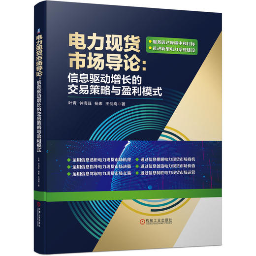 电力现货市场导论：信息驱动增长的交易策略与盈利模式 商品图0