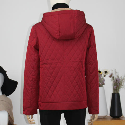 FOCALS福柯斯新款纯色薄棉服短款拉链撞色拼接连帽棉服FYLDE620R1 商品图2