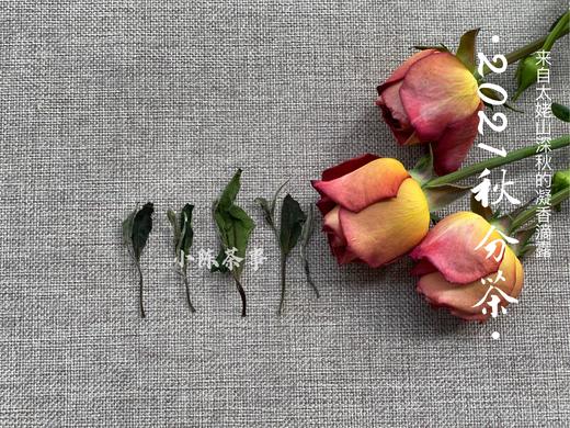 2021秋分茶，来自凛寒深秋里的凝香滴露（1斤装） 商品图2