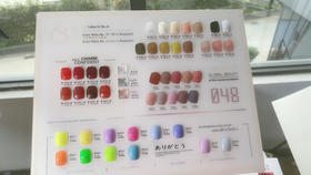 48色苏苏布丁（秒杀）