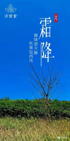 今日霜降丨韬光养晦