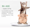 【幸运土猫】宝宝洁二代三代生物浓缩宠物清洁除味祛味剂包邮 商品缩略图8