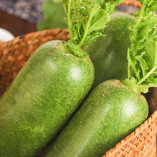 【潍坊 水果萝卜】新鲜青皮萝卜 脆嫩爽口  皮薄多汁  农家自种  4.5斤装 商品图4