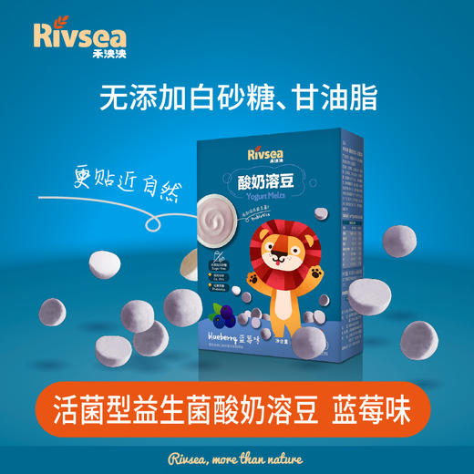 禾泱泱酸奶溶豆蓝莓味18g 商品图1