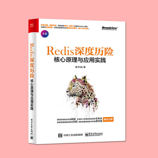 深度历险 核心原理与应用实践 商品图1