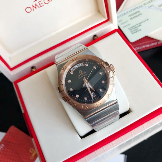 OMEGA欧米茄星座系列双历款 男士腕表
机芯：进口西铁城 商品图3