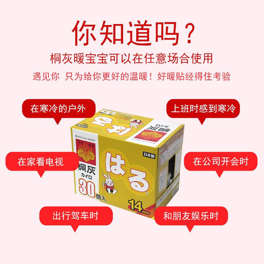 日本小林制药桐灰暖宝宝30片 商品图2