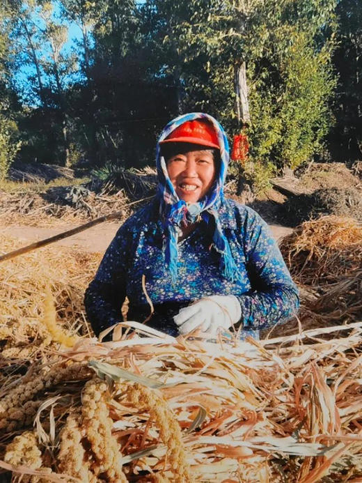 【25年新米上市】【内蒙古契丹有机小米】中国地理标志产品 唯一蒙字号 来自大自然的馈赠 赤峰有机黄小米 “世界小米之乡”养胃易消化，500g/包 商品图7