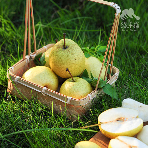 生态酥梨 | 合作生产 *Eco-crisp pear | Coproduction 商品图6