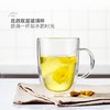 北鼎双层玻璃杯 商品缩略图1