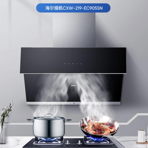 海尔（Haier）烟灶套装EC905SN+QE5B0 商品图1