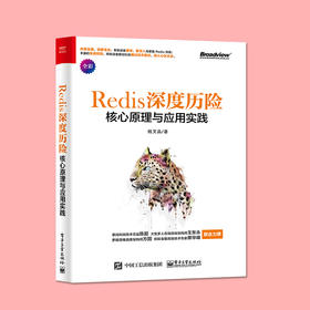 深度历险 核心原理与应用实践