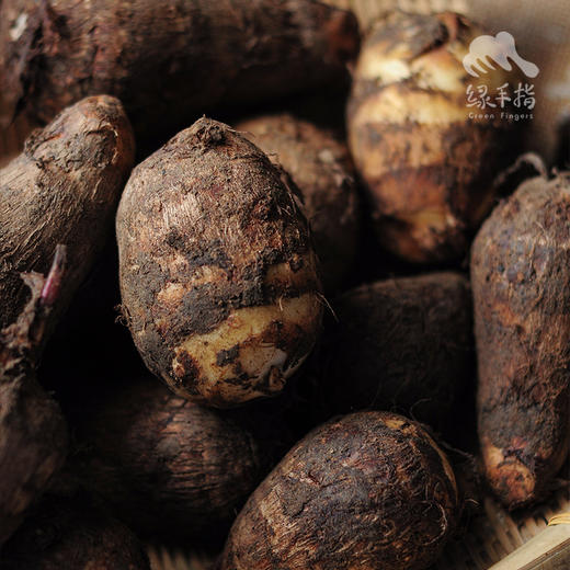 生态芋头 | 合作生产* Ecological  taro  | Coproduction 商品图5