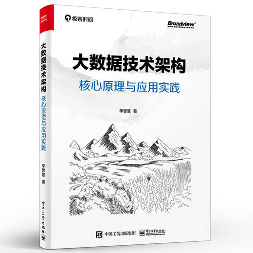 大数据技术架构：核心原理与应用实践 商品图0