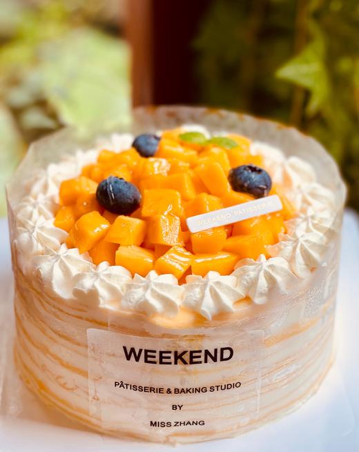 芒果千层 商品图0