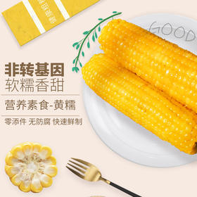 糯西西 山西忻州黄糯玉米