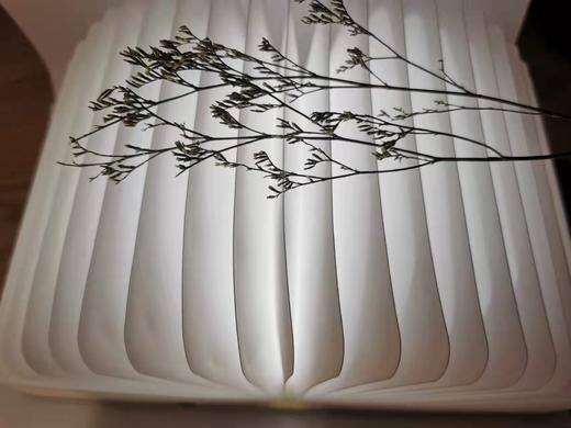 书本灯（新款） 商品图1