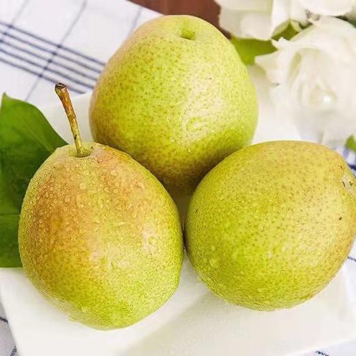 【顺丰快递】新疆库尔勒香梨 甘露香梨 现摘现发 皮薄肉细无渣 整箱发货 商品图9