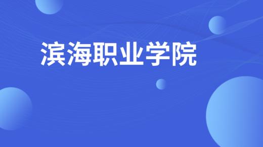 滨海职业学院 商品图0