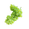龙二大青葡萄 商品缩略图0
