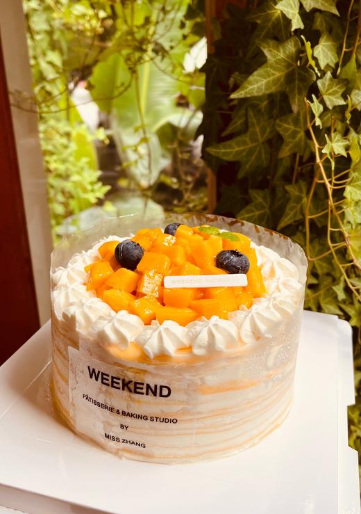 芒果千层 商品图1