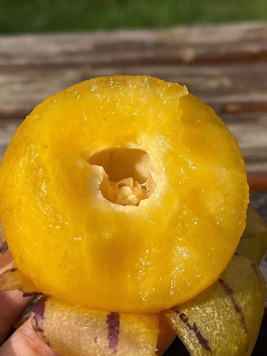 云南石林风化石人参果 商品图5