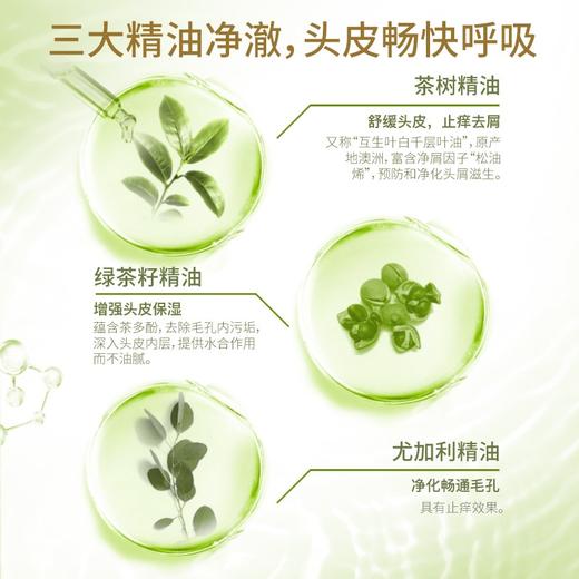 舒蕾绿茶籽控油去屑洗发露800ml 商品图3