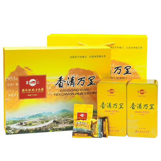 凤山 QT3000香清万里 铁观音清香型 礼盒装250g 商品图0