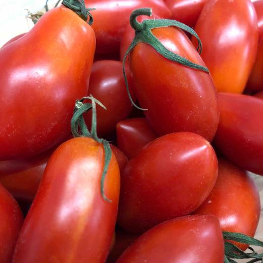 ~玉女番茄（红色好浓的番茄味），传闻用豆浆浇灌的就是这货！我怀疑我以前吃的番茄都是假的[捂脸]超薄的果皮，超甜细腻果肉，口口爆浆，让人身心愉悦的甜度！ 商品图1