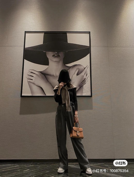 Delvaux brillant 手提斜挎包 商品图7