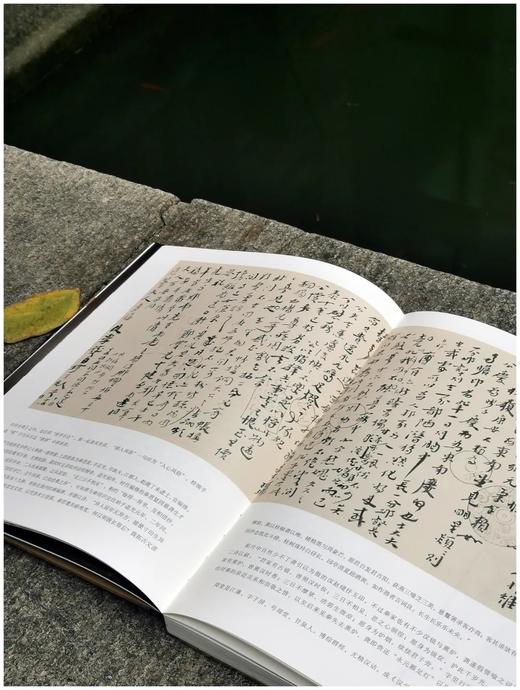 金声长物（签名版） 王金声 著 商品图5