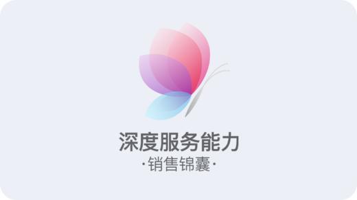 需求成交法·你是替客户解决问题的（第一篇） 商品图0